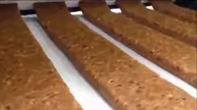 линия для производства батончиков типа фруктовых, нуги, помадки