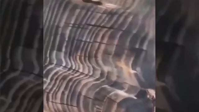 Стол из древесины капового тополя