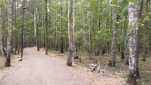 Подготовка площадки Липовая Роща Рублево-Архангельской линии 10.09.2024