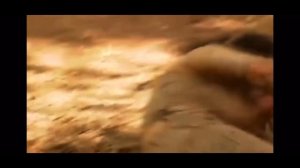 Catfight in Muddy Ranch 2