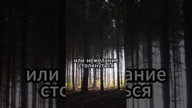 Бег от смерти с косой. Что это значит?