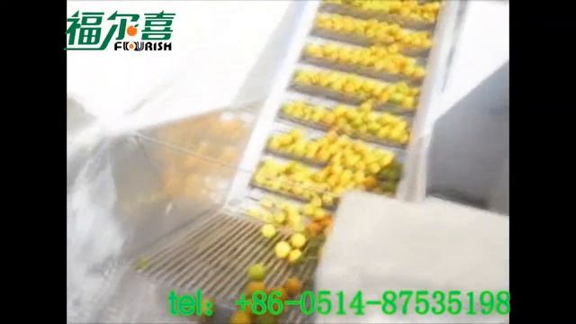 Citrus juice line made by China Flourish