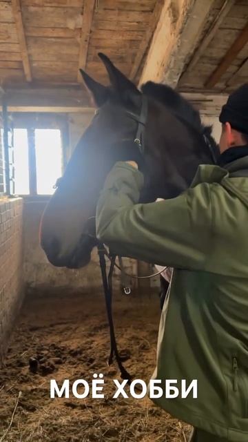 В конце видео ТОТ ФАКТ , ЧТО ЭТО ТРУДНЫЙ ВИД СПОРТА 😂 Лошадки очень чудесны и удивительны . смотреть онлайн