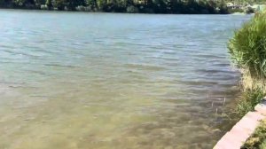 Винодельня Усадьба Семигорья (Новороссийск)