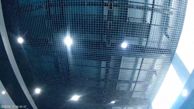 бассейн))) „Дельфин” смотреть онлайн