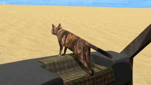 Isla De La: кот, который на помойке живёт; точнее - жил, а теперь он твой пассажир