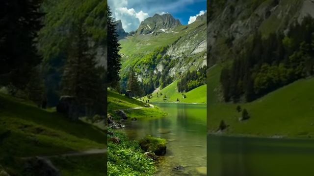 Красота