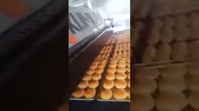 Автоматическая ферментационная туннельная линия для сендвичей и гамбургеров смотреть онлайн