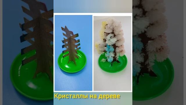 Первые шаги в науку смотреть онлайн