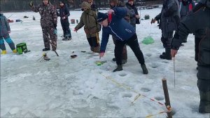 Поимки форели с утра и на запуске. Клёвое место, Лосиный остров, верхний водоём.