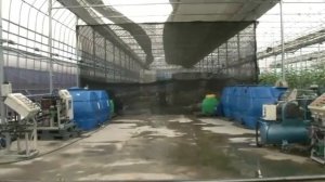 Гидропоника Теплица Масанчи