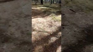 продолжение похода