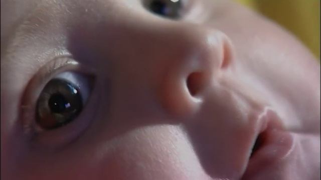 Nscessity 2 mins смотреть онлайн