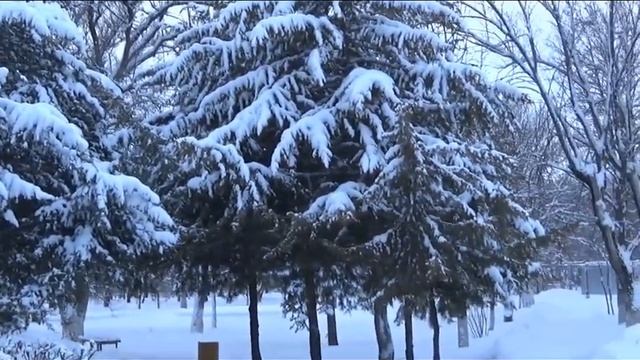 Город утопающий в цветах смотреть онлайн