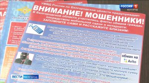 В Белгородской области зарегистрировано порядка 5 тысяч киберпреступлений в 2024 году