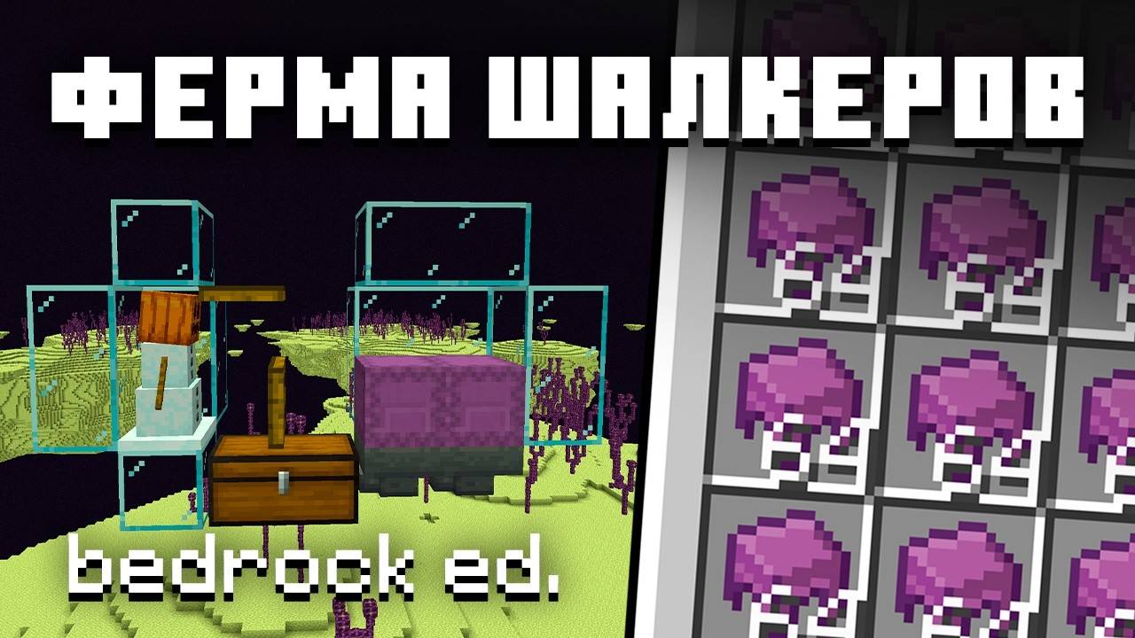 ФЕРМА ШАЛКЕРОВ 1.21+ Майнкрафт Туториал [Bedrock Edition]