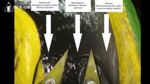 Испытания винтовой сепарации на Стойленском ГОКе