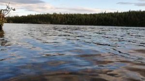 Кундозеро Карелия 2022