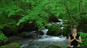 Нежная лечебная музыка Звуки леса щебетание птиц шум реки звуки природы для общей релаксации