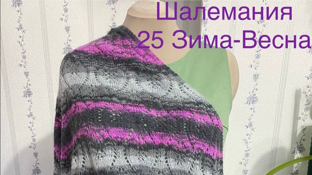 СП Шалемания 2025 Зима-Весна Отчёт №2 Февраль