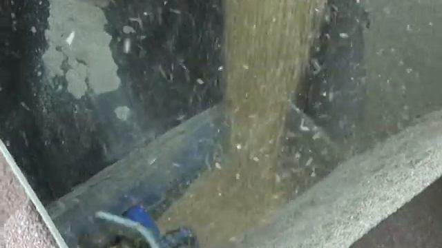 Новое оборудование, новые кормовые культуры смотреть онлайн