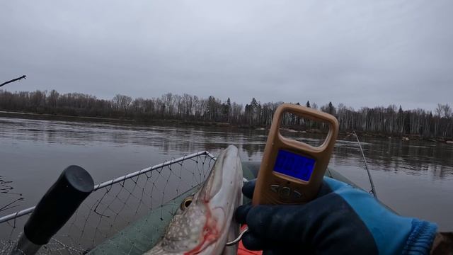 🎣 ЗАВЕС🎣#fishing#рыбалка#carpfishing#природа #туризм#ловля#отдых#ловлящуки#природа#ночёвка#отдых#p