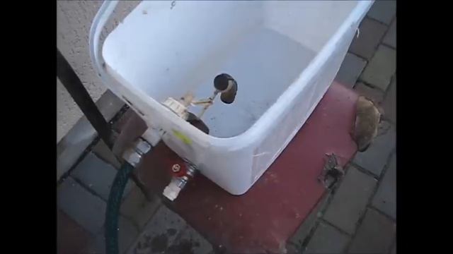 улучшение ниппельной системы поения