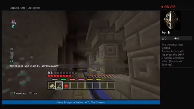 Papyrus plays Minecraft Mini Games 3