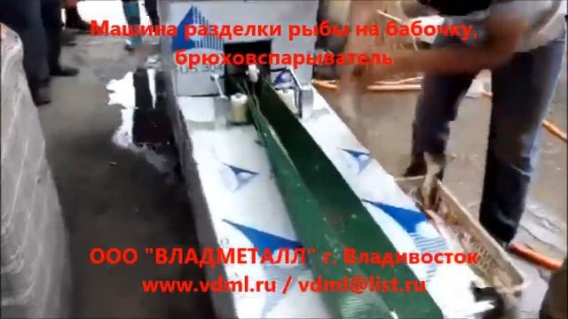 Машина разделки рыбы на бабочку, вспарывания брюшной полости, брюховспарыватель