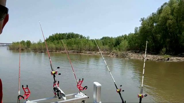 LIVE Catfishing in Memphis смотреть онлайн