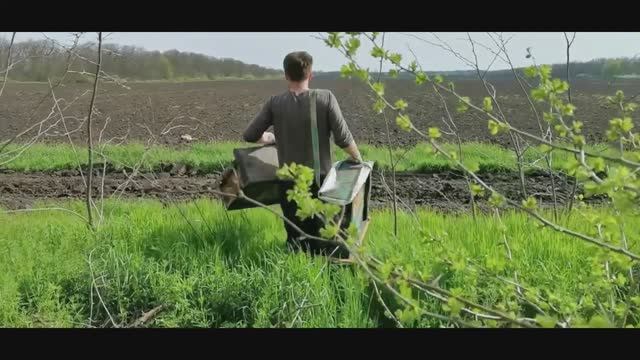 ЛОВИМ ПЧЕЛИНЫЙ РОЙ (1часть) #пчелы #пасека #пчеловодство # хобби смотреть онлайн