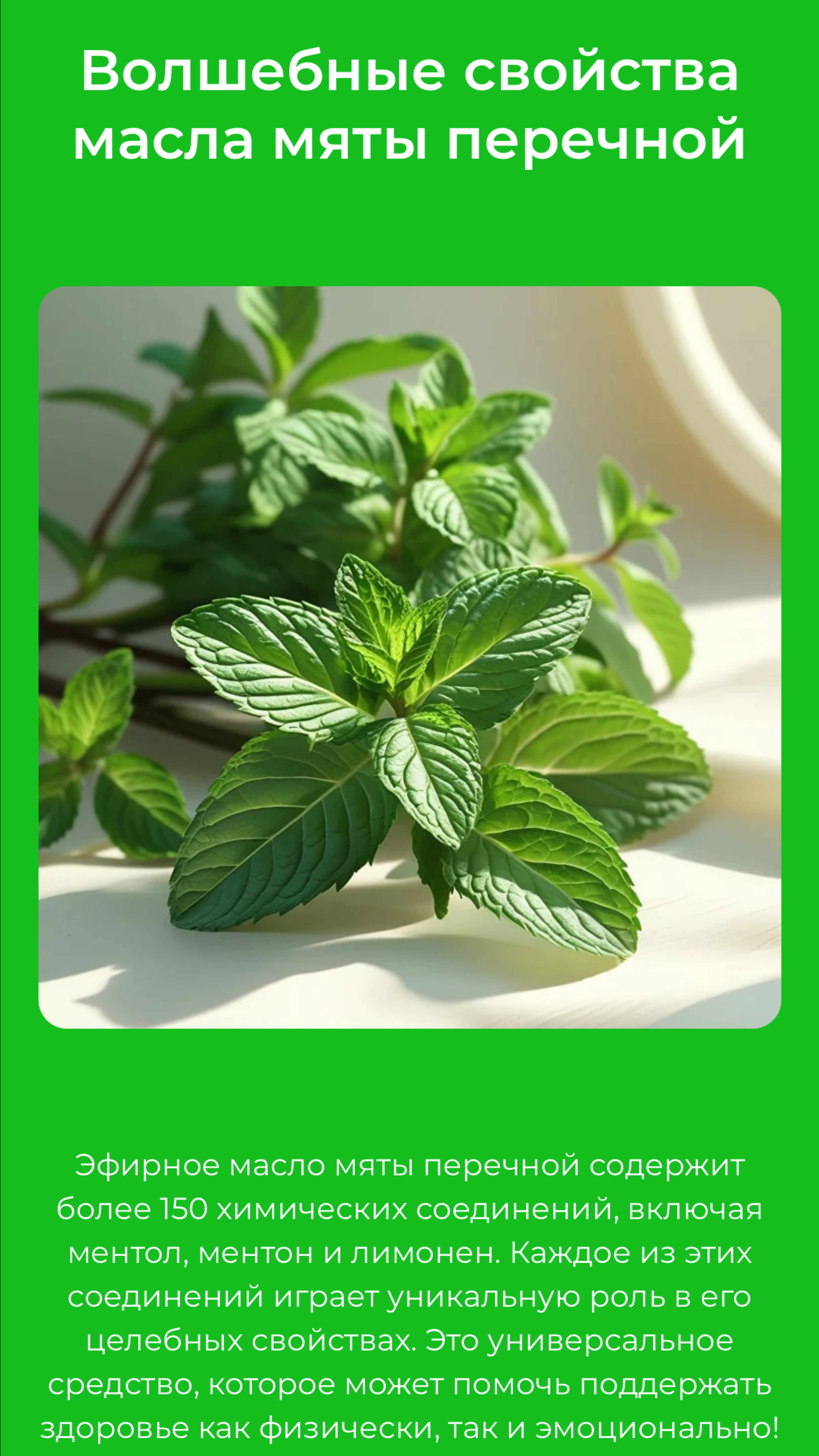 Неделя знакомства с эфирным маслом Перечная мята DoTerra
