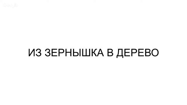 Марафон "Активация здоровья", День 3