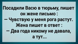 Как Васю в Тюрьму Посадили! Сборник Свежих Анекдотов! Юмор!