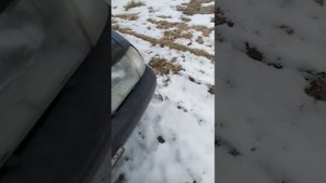 иж ода 2126 продажа