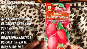 ТОМАТ ДЕ БАРАО все его сорта Эти томаты обязательно должны быть у вас на грядке Урожайные сладкие
