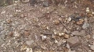 Рудник Перевальный.