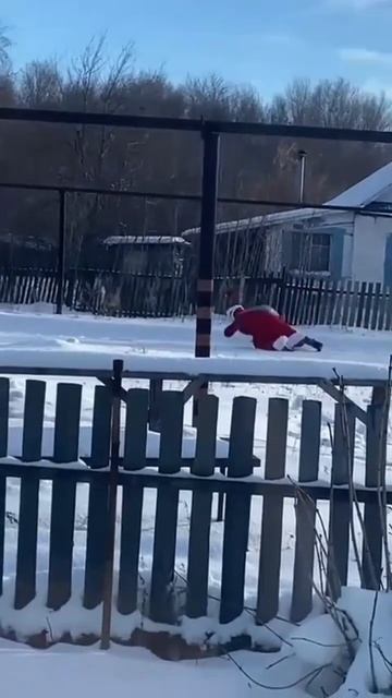 С Новым годом #новости #юмор #shortvideo #shorts - смотреть онлайн