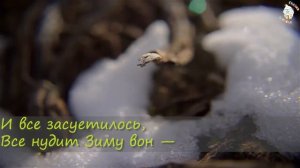 Зима недаром злится. Ф. Тютчев. Учим стихи вместе с нами. Обучающее видео.