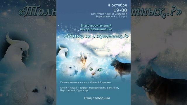 Ника Турбина.  Что в итоге?... Только ли о животных???