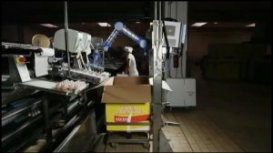 Коллаборативные роботы Universal Robots 5