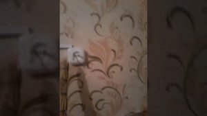 ударила  током