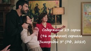 Содержание 23 серии (96 турецкая) третьего сезона сериала "Зимородок" (РФ, 2024 / 2025)