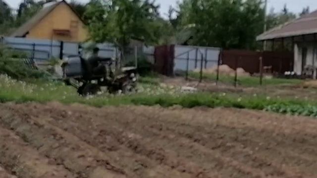 Химпрополка картошки
