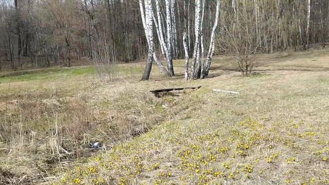 лосиный остров 15 апреля 2023 смотреть онлайн