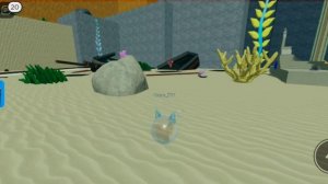 Флоппы в Roblox на карте воды.