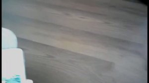 Магазин на диване?!