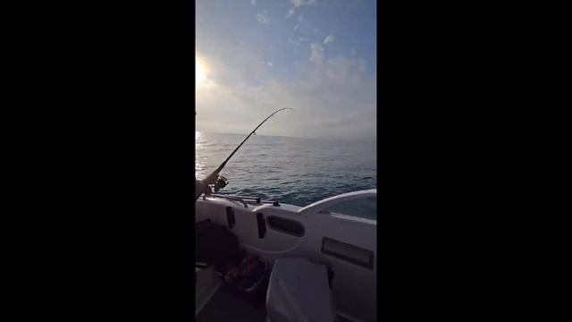 Ловили рыбу, а поймали канализационный люк! Трофейная рыбалка на ската. смотреть онлайн