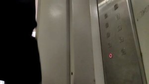 Лифт ЩЛЗ  2012