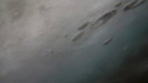 ПЛЫВЕТ ТРАВА, КОТОРАЯ ЗАБИВАЕТ ЖАБРЫ РЫБЫ. ВЫЖИВЕТ ЛИ РЫБА ?